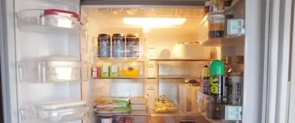 冰箱收纳指南：冰箱久久不清洁，病菌容易找上门！