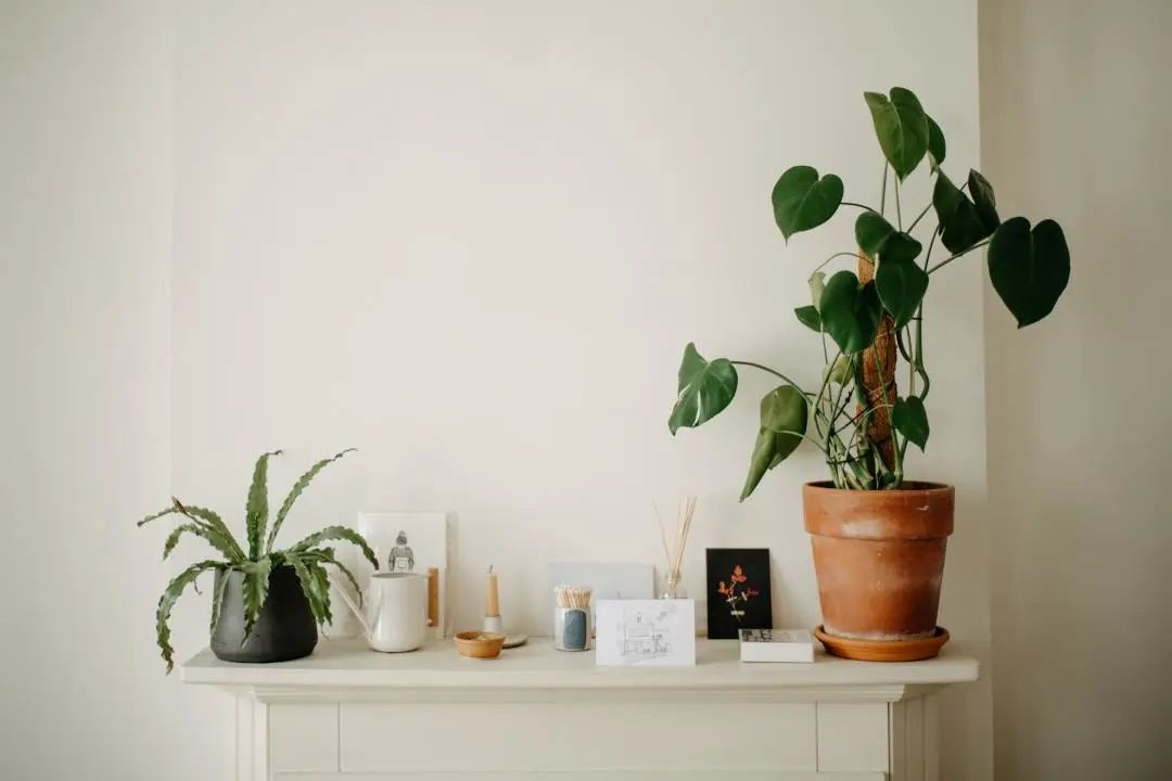 出门太磨蹭了怎么办? 学会这些方法,治好你的「出门拖延症」! 出门太磨蹭了怎么办? 学会这些方法,治好你的「出门拖延症」!