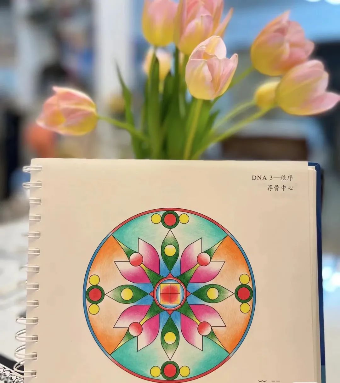 平衡整理：焦虑时代，如何通过家整理好自己？